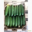 Огірок, Харків, 0,1 кг